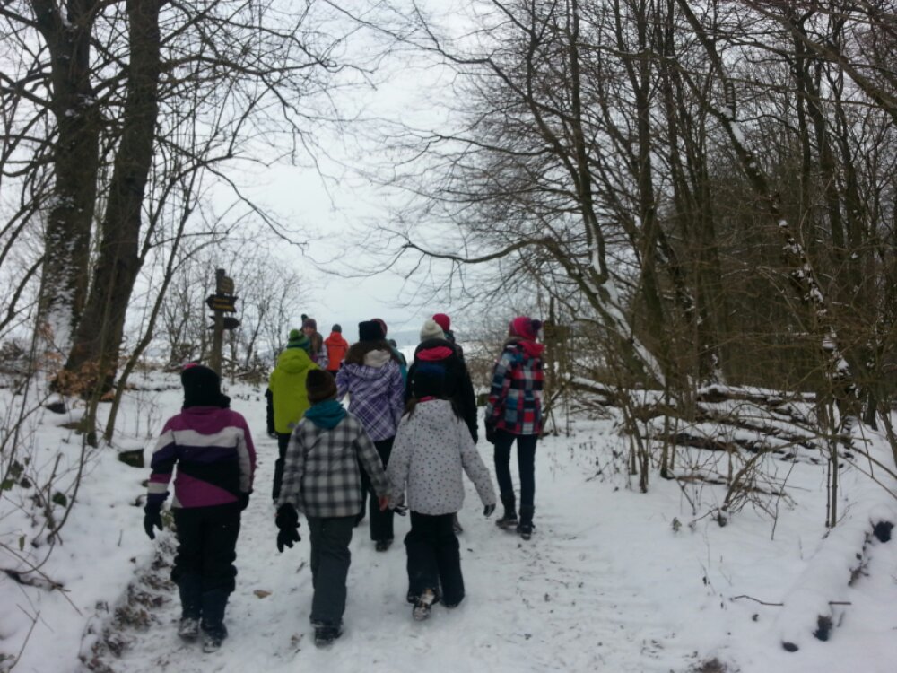 20130119_121424.jpg image