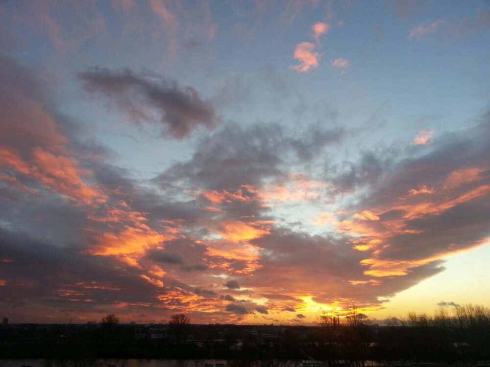 20130202_172432.jpg image