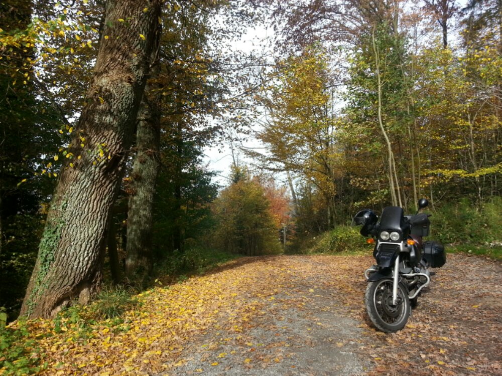 20131026_134820.jpg image