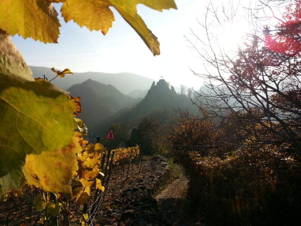 20131116_150506.jpg image