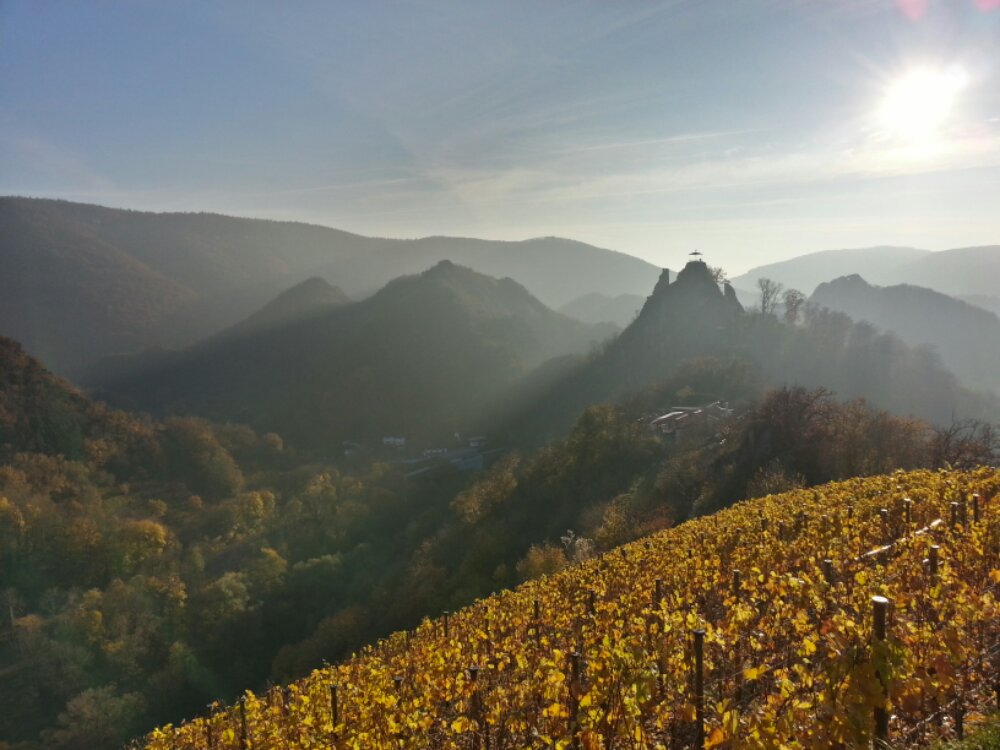 20131116_150310_HDR.jpg image