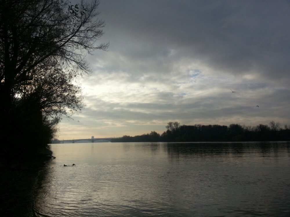 20131201_094226.jpg image