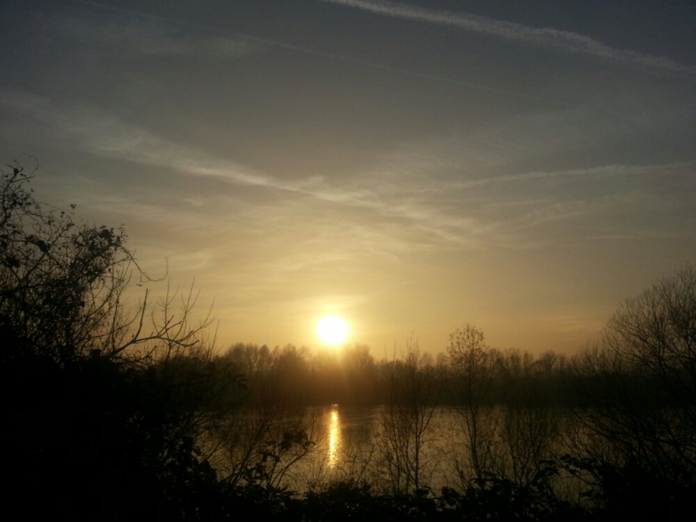 20131210_153932.jpg image