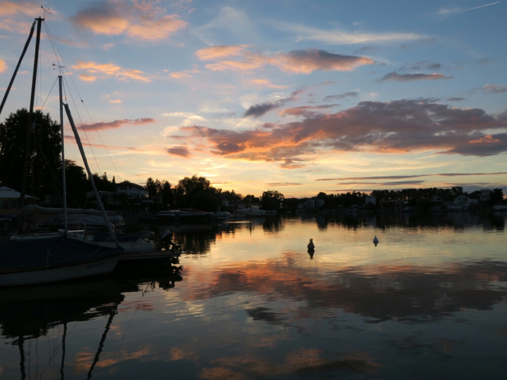 wp-1468967834563 image